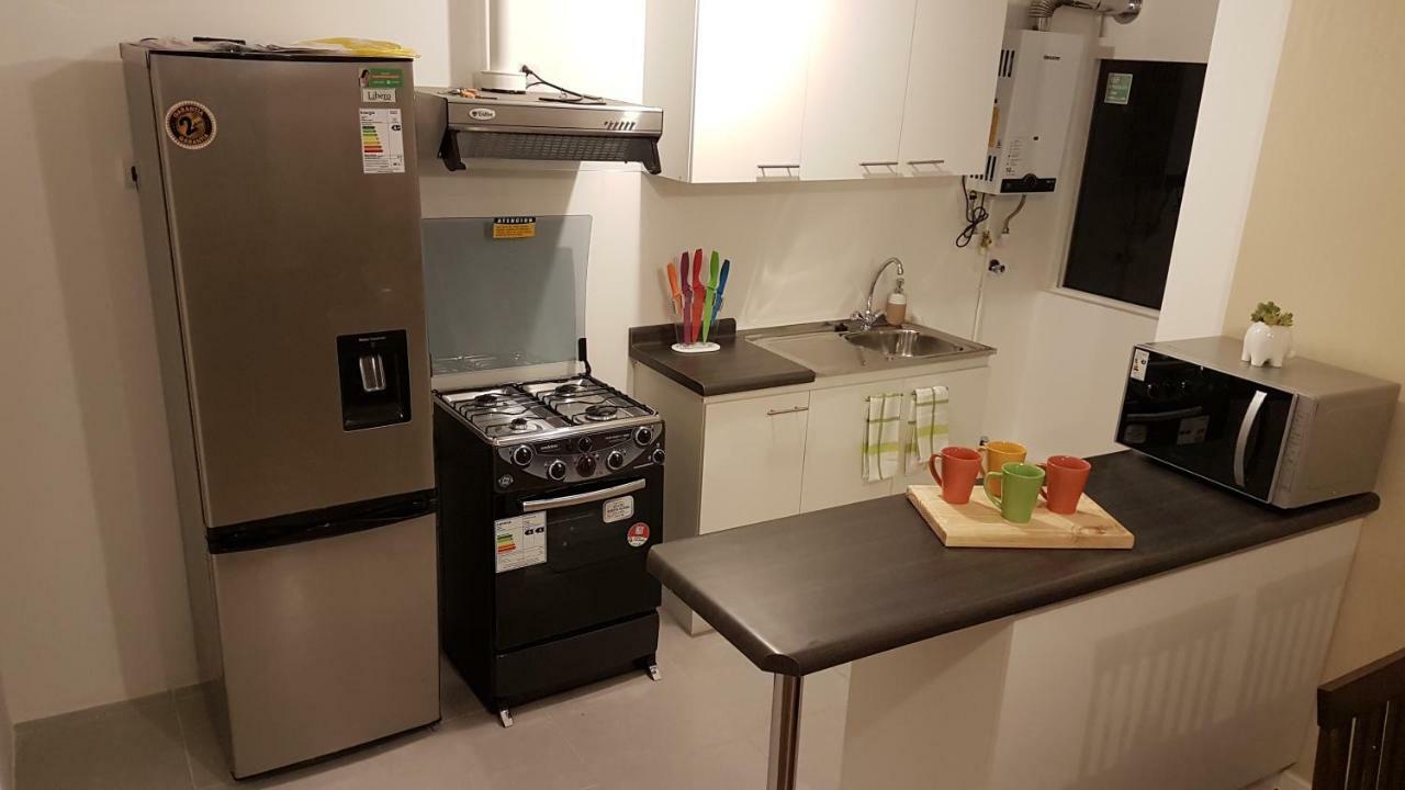 Apartmán Departamento Nuevo Full Equipado Valdivia Exteriér fotografie